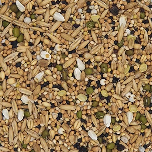 Versele Keimfutter für Sittiche & Exoten Prestige 20kg Versele Keimfutter für Sittiche & Exoten Prestige 20kg von Versele-Laga