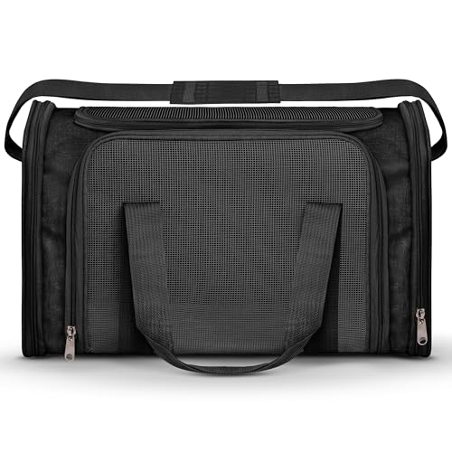 Transportbox für Haustiere, von Fluggesellschaften zugelassen (42,9 x 27,9 x 29 cm), Katzentragetasche, Hundetrage für mittelgroße und kleine Katzen, kleine Welpen, Kätzchen, Haustier-Reisetasche von Vertical-Pro