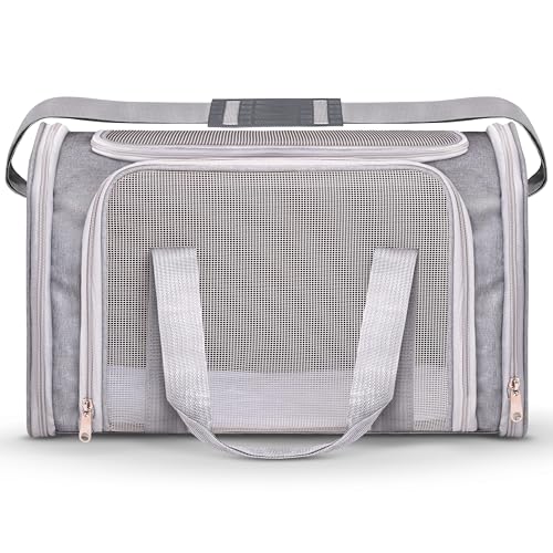 Transportbox für Haustiere, von Fluggesellschaften zugelassen (42,9 x 27,9 x 29 cm), Katzentragetasche, Hundetragetasche für mittelgroße und kleine Katzen, kleine Welpen, Kätzchen von Vertical-Pro