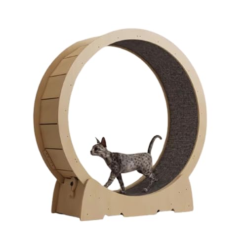 Katzenlaufrad Haustierspielzeug-Katzenlaufrad, Katzenlaufband Für Alle Katzen, Katzen-Fitness-Laufrad, Mit Sicherheitsverriegelungsmechanismus, 4 Größen (Size : M) von VesFy