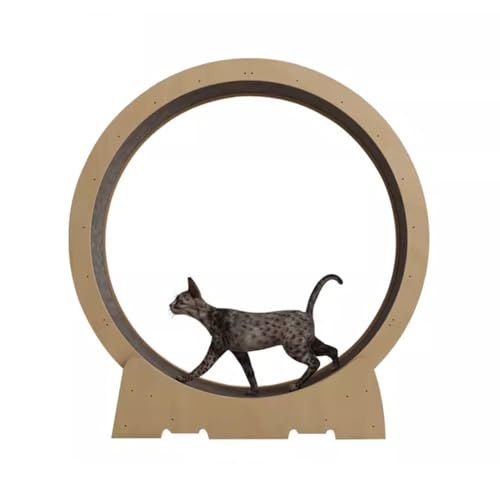 Katzenlaufrad Katzen-Fitness-Laufband, Leises Katzenrad Für Hauskatzen, Haustier-Katzenspielzeug Als Geschenk, Einfach Zu Montieren (Size : Diameter 100cm) von VesFy