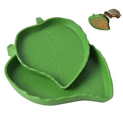 Vesaneae 2 Stück Blatt Futternapf Reptilien, Reptilienschale Lebensmittel, Wasserschale und Futterschale für Reptilien, Landschildkröten Zubehör für Schildkröte Corn Schlange Vesaneae 2 Stück Blatt Futternapf Reptilien, Reptilienschale Lebensmittel, Wasserschale und Futterschale für Reptilien, Landschildkröten Zubehör für Schildkröte Corn Schlange von Vesaneae