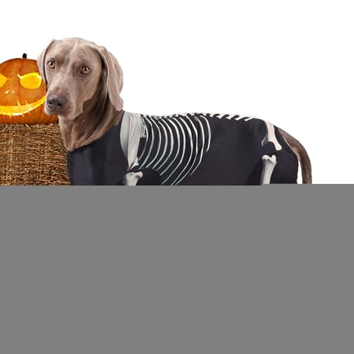 Vesidoloy Halloween Kostüme Für Hunde - Skelett Kostüm Für Hunde | Welpen Body Haustier Halloween Kleidung für Verschiedene Anlässe wie Cosplay, Urlaub, Reisen, täglichen Einsatz, Outdoor, Zuhause, Vesidoloy Halloween Kostüme Für Hunde - Skelett Kostüm Für Hunde | Welpen Body Haustier Halloween Kleidung für Verschiedene Anlässe wie Cosplay, Urlaub, Reisen, täglichen Einsatz, Outdoor, Zuhause, von Vesidoloy