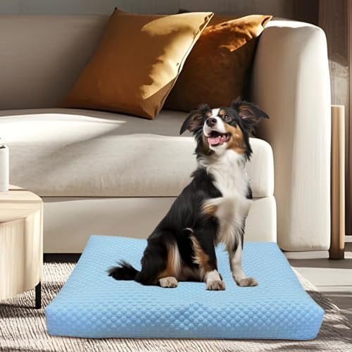 Vesidoloy Hundebett Bezug Ersatz Waschbar,Kühlbezug Für Hundebett - Abziehbares Schutzblatt Für Hundekorb Kissen | Innen Außen Bereich Vesidoloy Hundebett Bezug Ersatz Waschbar,Kühlbezug Für Hundebett - Abziehbares Schutzblatt Für Hundekorb Kissen | Innen Außen Bereich von Vesidoloy