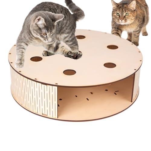 Vesidoloy Interaktives Katzenspielzeug - Holz Jagdbox Mit Beute Spiel Für Kätzchen,Lustiges Katzenspielzeug Zur Geistigen Förderung Und Unterhaltung Für Innen Außen Balkon Wohnzimmer Vesidoloy Interaktives Katzenspielzeug - Holz Jagdbox Mit Beute Spiel Für Kätzchen,Lustiges Katzenspielzeug Zur Geistigen Förderung Und Unterhaltung Für Innen Außen Balkon Wohnzimmer von Vesidoloy