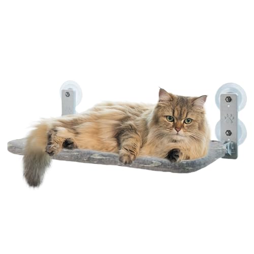 Vesidoloy Katzen- -Hängematte – Faltbare Haustier-Hängematte – leuchtet im Dunkeln, Saugnäpfe, Sitz mit interaktivem Spielzeug für Vögel, Beobachtung Räume, gemütliches Nickerchen Vesidoloy Katzen- -Hängematte – Faltbare Haustier-Hängematte – leuchtet im Dunkeln, Saugnäpfe, Sitz mit interaktivem Spielzeug für Vögel, Beobachtung Räume, gemütliches Nickerchen von Vesidoloy