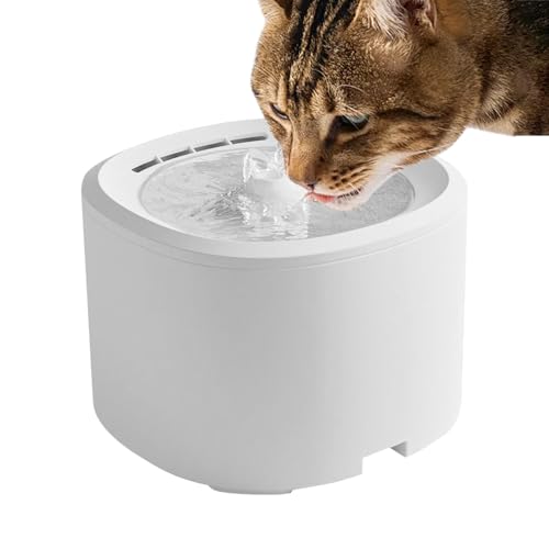 Vesidoloy Katzenbrunnen | 3L Automatischer Urlaubswasserspender,USB Wasserspender Mit Filter Für Katzen Hunde Mehrhaustierhaushalt Vesidoloy Katzenbrunnen | 3L Automatischer Urlaubswasserspender,USB Wasserspender Mit Filter Für Katzen Hunde Mehrhaustierhaushalt von Vesidoloy