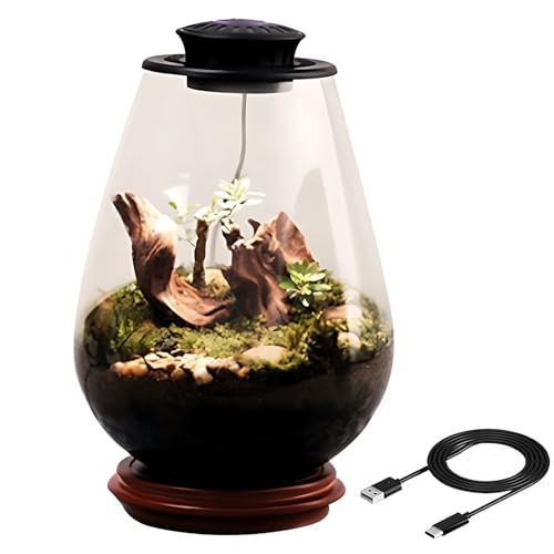 Pflanzen-Terrarium-Glas mit UFO-LED-Wachstumslicht, Mini-Schreibtisch-Ökosystem mit Moos, hellschwarz, 5 V/2 A, ideale Dekoration für Büro und Zuhause, inklusive Typ-C-Kabel und Tropfflasche Pflanzen-Terrarium-Glas mit UFO-LED-Wachstumslicht, Mini-Schreibtisch-Ökosystem mit Moos, hellschwarz, 5 V/2 A, ideale Dekoration für Büro und Zuhause, inklusive Typ-C-Kabel und Tropfflasche von Vestamore