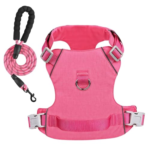 Vestamore Ausbruchsicheres Hundegeschirr und Leine, Set mit reflektierenden Akzenten, verstellbare Passform, Geschirr für mittelgroße Haustiere, sicheres Design Vestamore Ausbruchsicheres Hundegeschirr und Leine, Set mit reflektierenden Akzenten, verstellbare Passform, Geschirr für mittelgroße Haustiere, sicheres Design von Vestamore