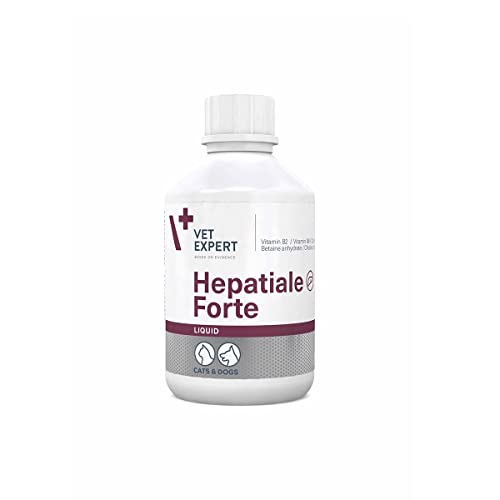 VetExpert Hepatiale Forte Liquid | 250ml | Ergänzungsfuttermittel für Hunde | Kann dabei helfen die Leberfunktion bei fortgeschrittenen Funktionsstörungen zu unterstützen von Vet Expert