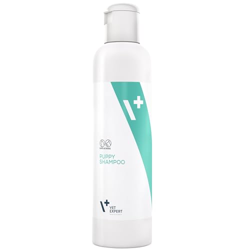 Vet Expert Shampoo Für Welpen Und Kätzchen, Enthält Milde Reinigungssubstanzen Für Empfindliche Und Empfindliche Haut Von Jungtieren, 1er Pack (1 x 250 ml) von Vet Expert