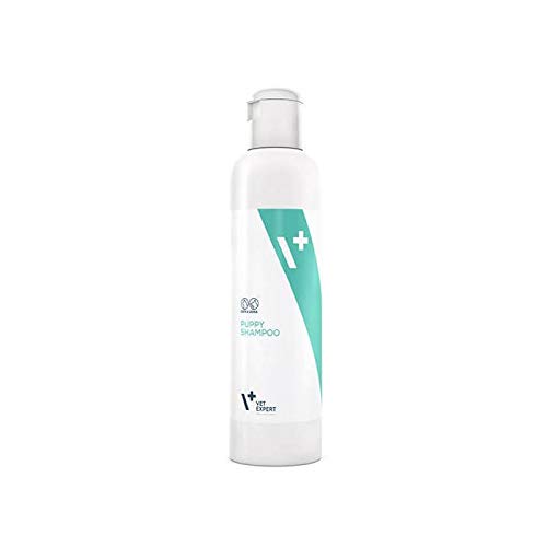 Vet Expert Shampoo Für Welpen Und Kätzchen, Enthält Milde Reinigungssubstanzen Für Empfindliche Und Empfindliche Haut Von Jungtieren, 1er Pack (1 x 250 ml) von Vet Expert