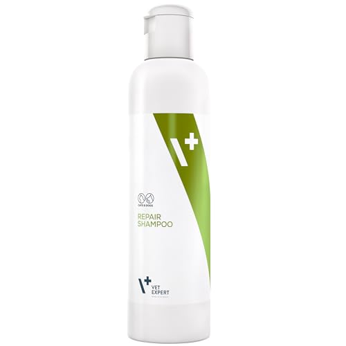 Vet Expert Spezialisiertes Regenerierendes Shampoo Für Hunde Und Katzen Feuchtigkeitsspendenden, Konditionierenden Und Stärkenden Substanzen, 1er Pack (1 x 250 ml) von Vet Expert