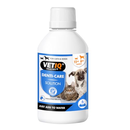 MARK & CHAPELL 0750826005597 Essbare Zahnreinigungsflüssigkeit, 260 g von VetIQ