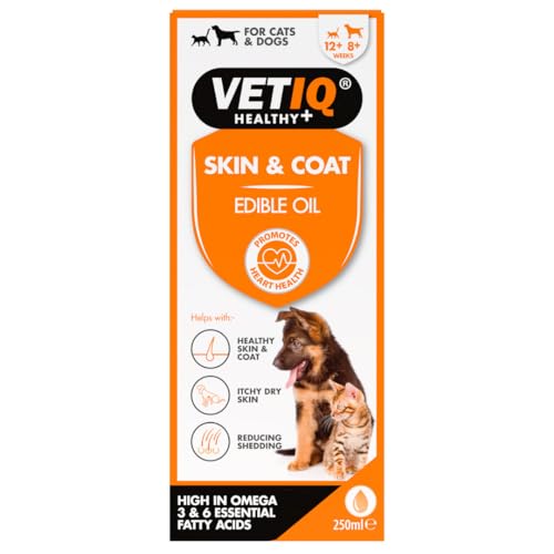VETIQ Skin & Coat Essbares Öl für Katzen & Hunde, Pflegeergänzungsmittel hilft bei gesunder Haut & Fell, juckender trockener Haut und reduziert Haarausfall, 250 ml (1 Stück) von VetIQ