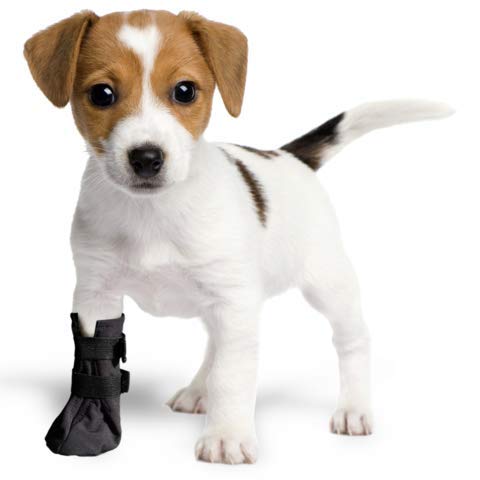 VetMedWear Wunde Recovery Kofferraum für Hunde. Schützt und heilt Pfote. Hergestellt aus Softshell, wasserdicht und atmungsaktiv Material. Empfohlen von Tierärzten empfohlen, Large, blau von VetMedWear