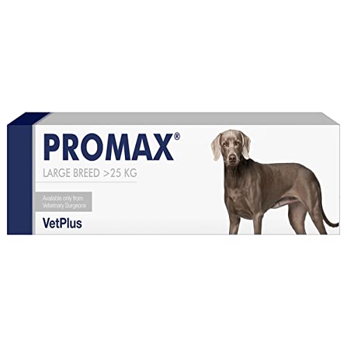 VetPlus Promax Large Breed - 30 ml von VetPlus
