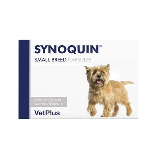 VetPlus Synoquin EFA - 90 Kapseln - Kleiner Hund von VetPlus