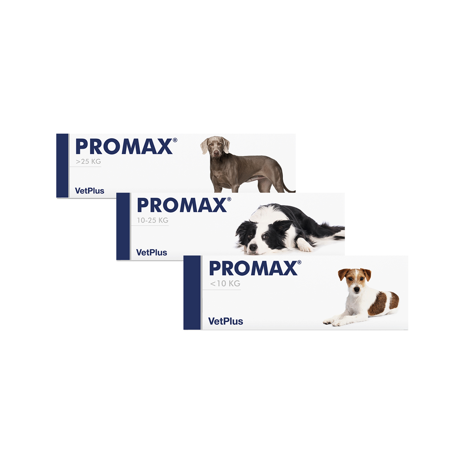 Vetplus Promax - Small Breed - 9 ml von VetPlus
