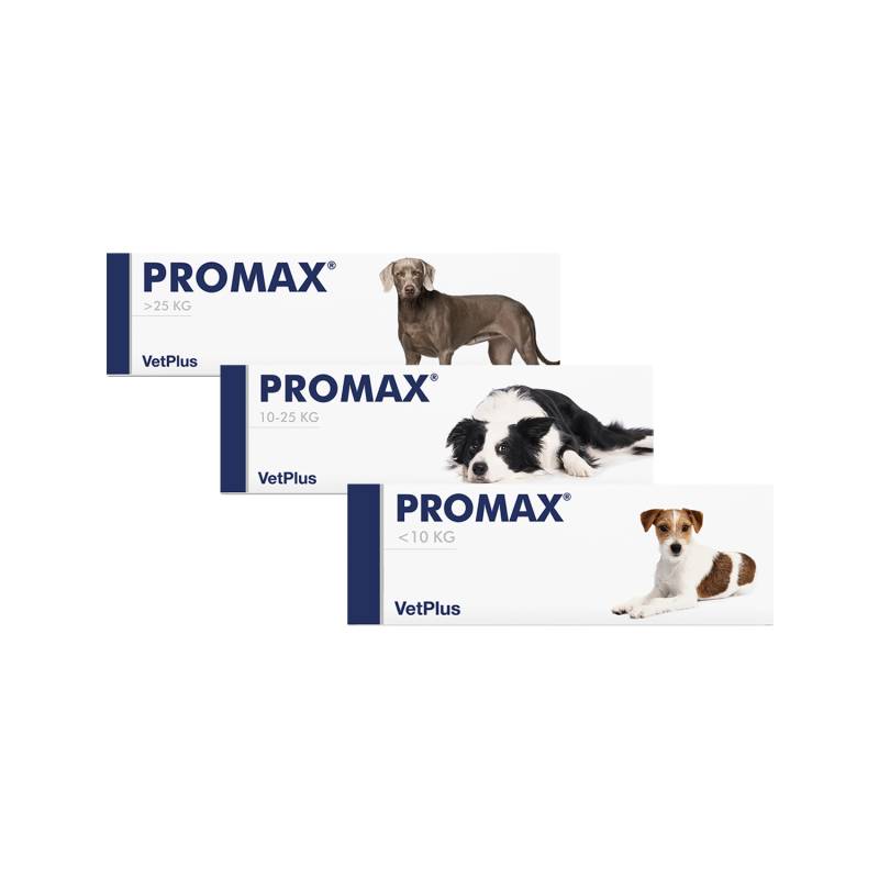 Vetplus Promax - Small Breed - 9 ml von VetPlus