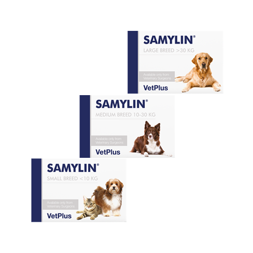 Vetplus Samylin Tabletten - Katze/kleine Hund - 30 Tabletten von VetPlus