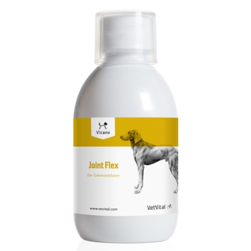 VetVital Vicano Joint Flex | 250 ml | Ergänzungsfuttermittel für Hunde | Zur Unterstützung der Beweglichkeit und des Gelenkstoffwechsels | Mit Grünlippmuschel und Teufelskralle von VetVital