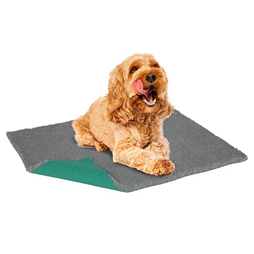 Vetbed Petlife Original Hundebett, Größe M, Grau, 100 cm x 100 cm, maschinenwaschbar, warmes Hunde- und Welpenbett, ideal für die Welpe, langlebig, antiallergen, ungiftig, für Katzen und Hunde Vetbed Petlife Original Hundebett, Größe M, Grau, 100 cm x 100 cm, maschinenwaschbar, warmes Hunde- und Welpenbett, ideal für die Welpe, langlebig, antiallergen, ungiftig, für Katzen und Hunde von Vetbed