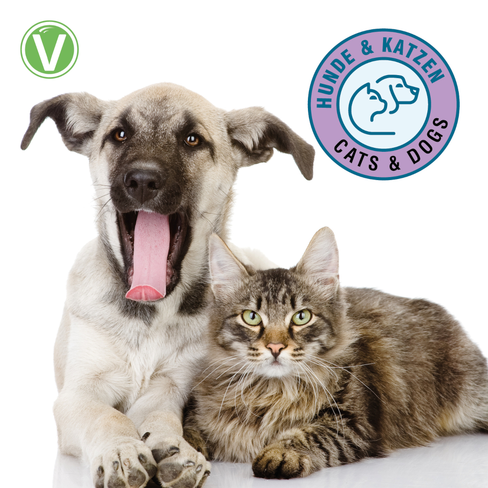 Vetlando Zahnpflegespray - 50 ml Vetlando Zahnpflegespray - 50 ml von Vetlando