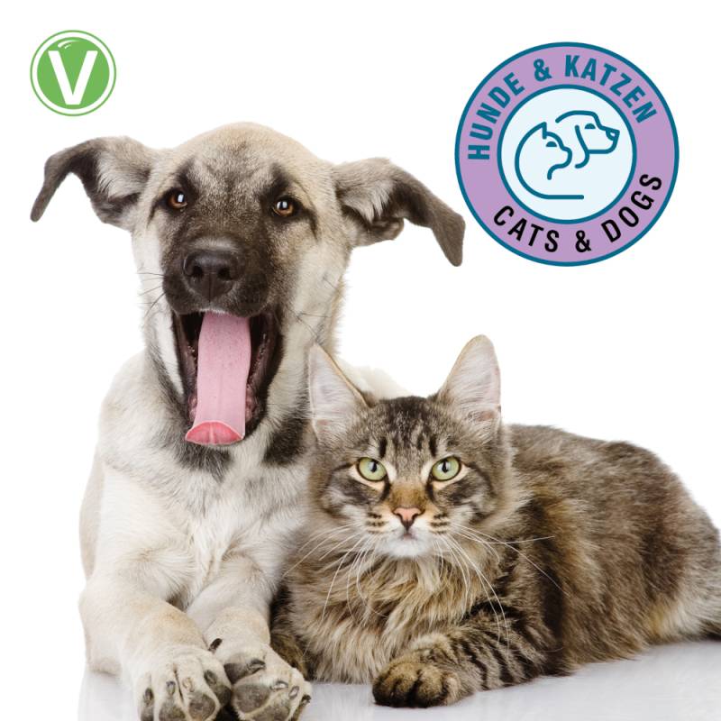 Vetlando Zahnpflegespray - 50 ml von Vetlando