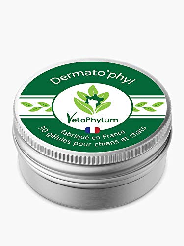 VetoPhylum Dermato Phyl Nahrungsergänzungsmittel für eine gesunde und starke Haut unter allen Umständen für Hunde und Katzen, 30 Kapseln von VetoPhylum