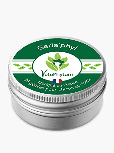 VetoPhylum GERIA'PHYL Nahrungsergänzungsmittel für die Behandlung von Alterung – Hunde und Katzen – Box mit 30 Kapseln von VetoPhylum