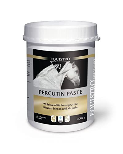 EQUISTRO® Percutin Paste | Pflegeprodukt für Pferde mit Tonerde, Arnika und Menthol | Normalisiert die Flüssigkeitsverteilung im Gewebe | Besonders wohltuend | 2.000g von Vetoquinol - Equistro