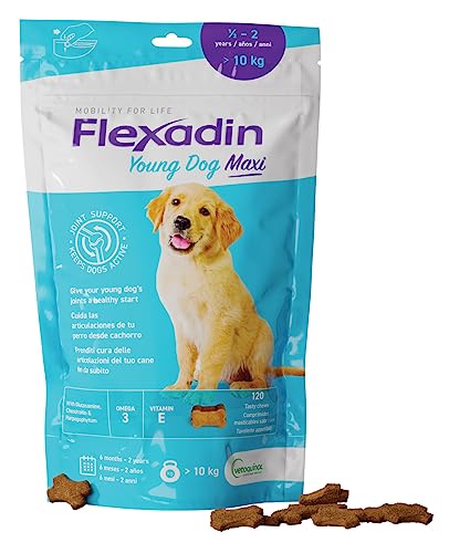 FLEXADIN CACHORRO MAXI 120CPD von Vetoquinol