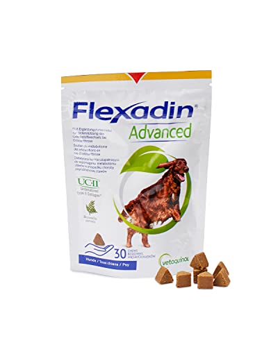 FLEXADIN ADVANCED® Hund | 30 Gelenkleckerli | Für die Gelenkgesundheit | Nicht denaturiertes Kollagen Typ II und Boswellia | Kann dabei helfen Gelenkbeschwerden zu verringern von Vetoquinol
