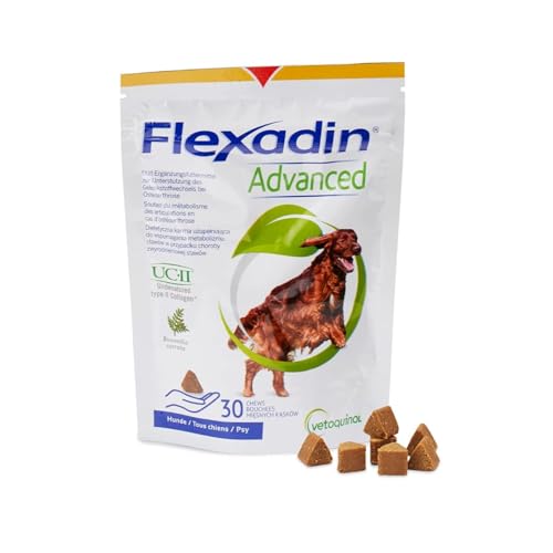 Flexadin Advanced für Hunde | 30 Chews | Ergänzungsfuttermittel zur Unterstützung der Gelenkgesundheit | Mit immunaktivem Kollagen, Omega-3 & Vitamin E | Einfache Verabreichung von Vetoquinol