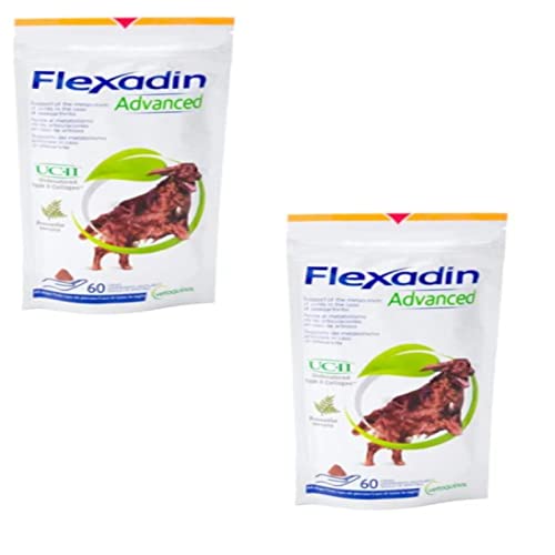 Vetoquinol Flexadin Advanced für Hunde - Doppelpack - 2 x 60 Chews von Vetoquinol