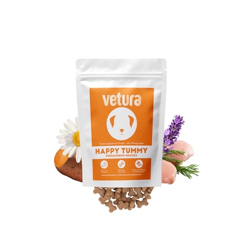 Vetura Happy Tummy | Probiotika Snacks für Hunde & Katzen | Mit Prä- & Probiotika, Kamille & Süßkartoffel | Verdauungs Snacks für Magen-Darm-Gesundheit & Starke Darmflora | 80 Hundeleckerli Vetura Happy Tummy | Probiotika Snacks für Hunde & Katzen | Mit Prä- & Probiotika, Kamille & Süßkartoffel | Verdauungs Snacks für Magen-Darm-Gesundheit & Starke Darmflora | 80 Hundeleckerli von Vetura