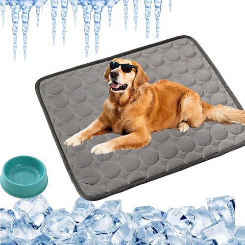 Kühlmatte Hund Testsieger, HundeküHlmatte SelbstküHlend Aus Eisseide, KüHlmatte Hund Ohne Gel, KüHlendes Hundebett, Waschbar KüHlende Hundedecke, Rutschfest Abriebfest (Dunkelgrau, XXL-150*100cm) Kühlmatte Hund Testsieger, HundeküHlmatte SelbstküHlend Aus Eisseide, KüHlmatte Hund Ohne Gel, KüHlendes Hundebett, Waschbar KüHlende Hundedecke, Rutschfest Abriebfest (Dunkelgrau, XXL-150*100cm) von Vgpbphj