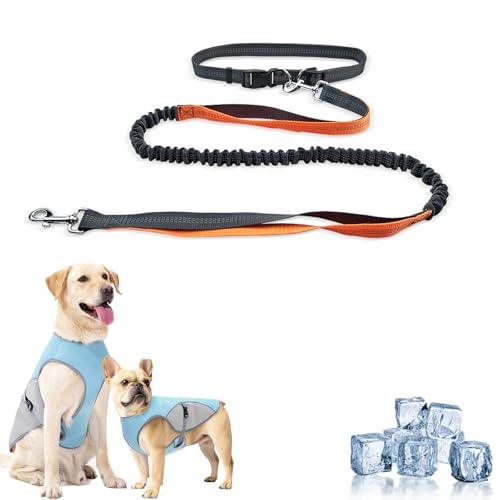 Monelia Kühlweste - Der Hitzeschutz für Deinen Hund, Kühljacke für Hunde Sommer, UV-Schutz, Verstellbar Dog Cooling Vest, Cooling Collar, für Kleine Mittlere und Große (Orange, Nur Hundeleine) von Vgpbphj