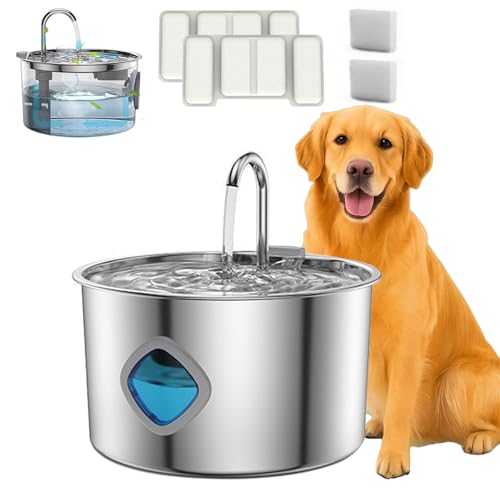 Pawdrate Wasserbrunnen, 3.2L/3,061.7 g Pawdrate Hund gefilterter Wasserbrunnen mit Wasserfenster, Edelstahl Hund Wassernapf, Super Leise für Große Hunde Katzen & Kleintiere (Wasserbrunnen von Vgpbphj