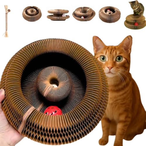 Pfotenwert Katzenloop, Katzenwirbel Katzenliebling, Foldable Convenient Katzenspielzeug, EIN mitwachsender Spielplatz, der die tiefsten Instinkte Ihrer Katze befriedigt (Stil-1,1PC) von Vgpbphj