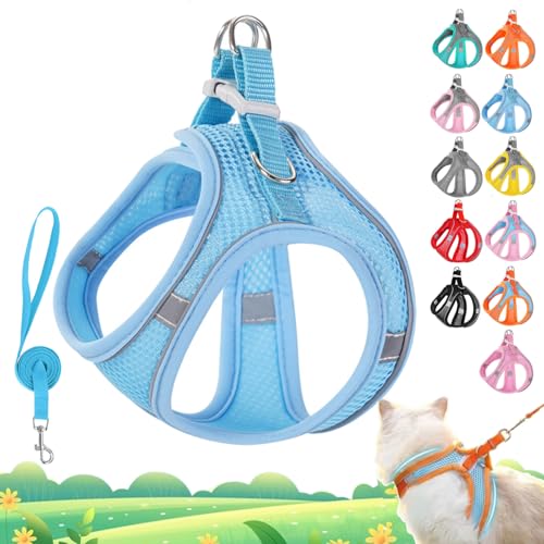 Stimulicat Katzengeschirr, Katzengeschirr und Leine, Set ausbruchsicher, verstellbare Weste aus weichem Netzgewebe mit reflektierenden Sicherheitsstreifen für draußen, einfach zu tragen (Blau, XS 3,5 Stimulicat Katzengeschirr, Katzengeschirr und Leine, Set ausbruchsicher, verstellbare Weste aus weichem Netzgewebe mit reflektierenden Sicherheitsstreifen für draußen, einfach zu tragen (Blau, XS 3,5 von Vgpbphj