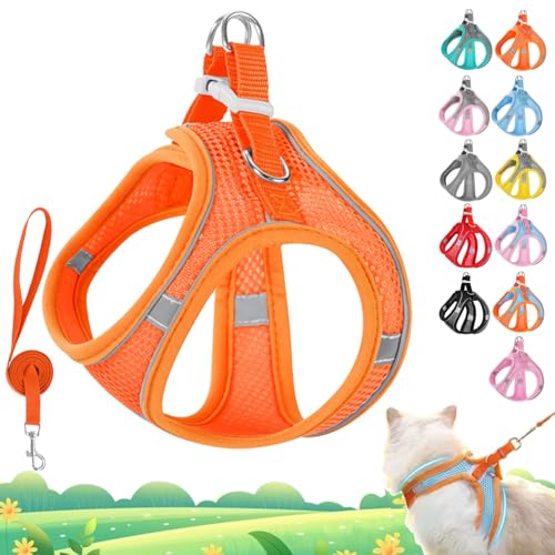 Stimulicat Katzengeschirr, Katzengeschirr und Leine, Set ausbruchsicher, verstellbare Weste aus weichem Netzgewebe mit reflektierenden Sicherheitsstreifen für draußen, einfach zu tragen (Orange, L 9 Stimulicat Katzengeschirr, Katzengeschirr und Leine, Set ausbruchsicher, verstellbare Weste aus weichem Netzgewebe mit reflektierenden Sicherheitsstreifen für draußen, einfach zu tragen (Orange, L 9 von Vgpbphj