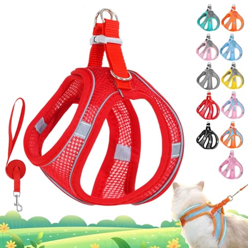 Stimulicat Katzengeschirr, Katzengeschirr und Leine, Set ausbruchsicher, verstellbare Weste aus weichem Netzgewebe mit reflektierenden Sicherheitsstreifen für draußen, einfach zu tragen (Rot, S 5-6,5 Stimulicat Katzengeschirr, Katzengeschirr und Leine, Set ausbruchsicher, verstellbare Weste aus weichem Netzgewebe mit reflektierenden Sicherheitsstreifen für draußen, einfach zu tragen (Rot, S 5-6,5 von Vgpbphj