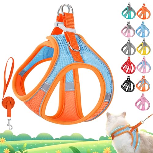 Stimulicat Katzengeschirr, Katzengeschirr und Leine, Set ausbruchsicher, verstellbare Weste aus weichem Netzgewebe mit reflektierenden Sicherheitsstreifen für draußen, einfach zu tragen (Orangeblau, M Stimulicat Katzengeschirr, Katzengeschirr und Leine, Set ausbruchsicher, verstellbare Weste aus weichem Netzgewebe mit reflektierenden Sicherheitsstreifen für draußen, einfach zu tragen (Orangeblau, M von Vgpbphj