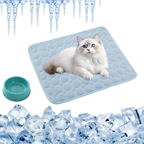 Vgpbphj KüHlmatte Katze, 2025 Upgrade Groß KüHlmatte FüR Katzen SelbstküHlend, KüHlmatte Haustier Aus Eisseide, Sommer KüHlmatte Ohne Gel, rutschfest Abriebfest (Hellblau, XXL-150 * 100cm) von Vgpbphj