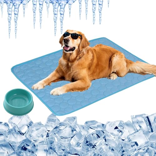 Vgpbphj Kühlmatte Hund Testsieger, HundeküHlmatte SelbstküHlend Aus Eisseide, KüHlmatte Hund Ohne Gel, KüHlendes Hundebett, Waschbar KüHlende Hundedecke, rutschfest Abriebfest (Blau, XXL-150 * 100cm) Vgpbphj Kühlmatte Hund Testsieger, HundeküHlmatte SelbstküHlend Aus Eisseide, KüHlmatte Hund Ohne Gel, KüHlendes Hundebett, Waschbar KüHlende Hundedecke, rutschfest Abriebfest (Blau, XXL-150 * 100cm) von Vgpbphj