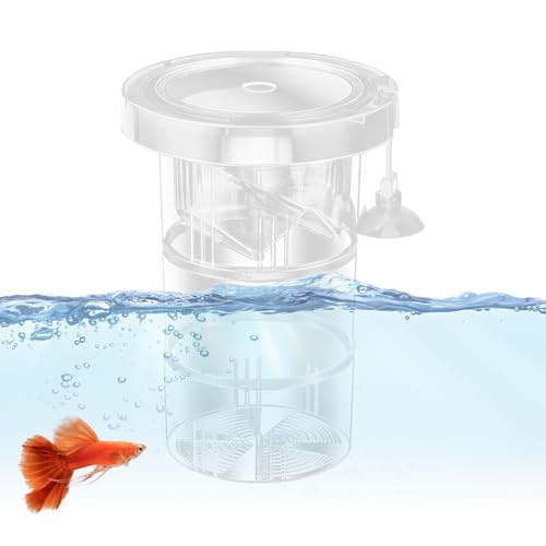 Baby Fischabscheider für Aquarium, Brutschachtel für Fischtank | Floated Fish Isolation Box | Mesh -Sieben einstellbar wiederverwendbarer Teiler für -Guppy -Betta -Laichen Baby Fischabscheider für Aquarium, Brutschachtel für Fischtank | Floated Fish Isolation Box | Mesh -Sieben einstellbar wiederverwendbarer Teiler für -Guppy -Betta -Laichen von Vgvgaj