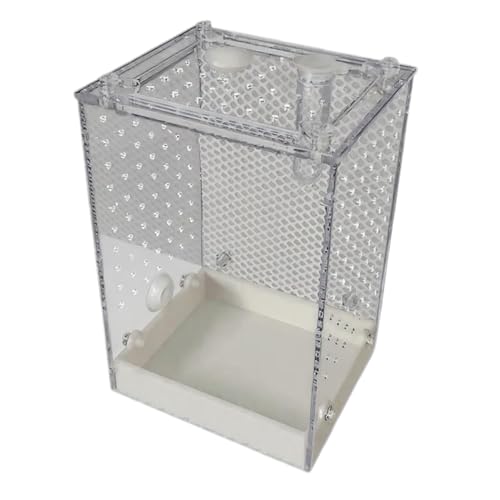 Freigehege für Spinnen | Klare Beobachtungsbox für Käfer – belüfteter Lebensraum für Springspinnen für Käfer, Kakerlaken, Ameisen, Mante, Skorpione, Erwachsene, Zimmer von Vgvgaj