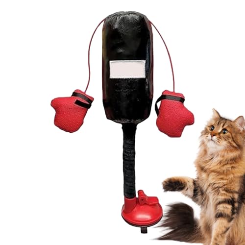 Vgvgaj Boxsack mit Handschuhen Katzenspielzeug | Katze Interaktives und Sportspielzeug | Einzigartiges Katze Interaktives Spielzeug Boxsack für Haustiere, Katze, Kätzchen, Hund, Welpe Vgvgaj Boxsack mit Handschuhen Katzenspielzeug | Katze Interaktives und Sportspielzeug | Einzigartiges Katze Interaktives Spielzeug Boxsack für Haustiere, Katze, Kätzchen, Hund, Welpe von Vgvgaj